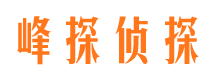 武汉市婚外情调查